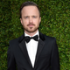 Illustration for article titled Aaron Paul Thinks Barbies Are Worse Than emBreaking Bad/em Dolls